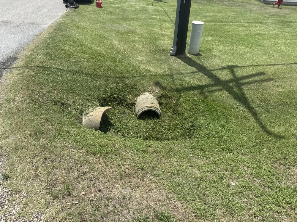 Professional landscape installation for beautiful yards across Youngsville, LA - The Yard Edit