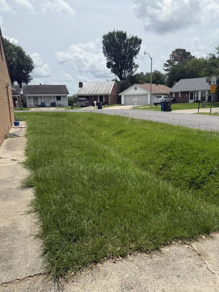 Reliable landscape installation for residential properties across Youngsville, LA - The Yard Edit