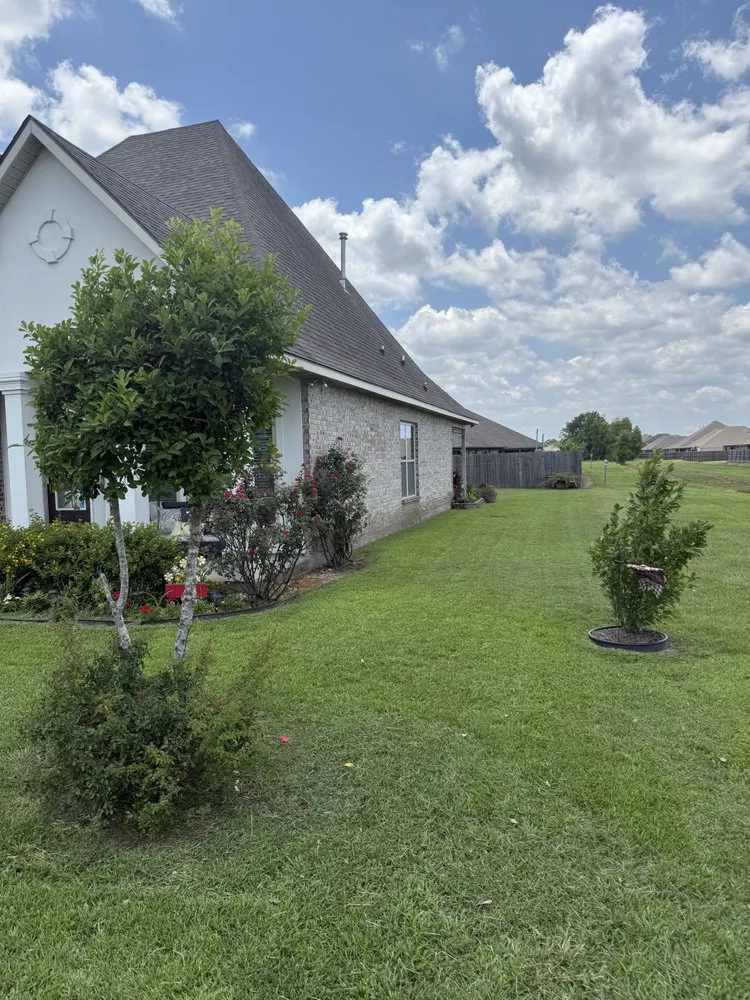 Trusted yard maintenance experts serving Youngsville, LA - The Yard Edit