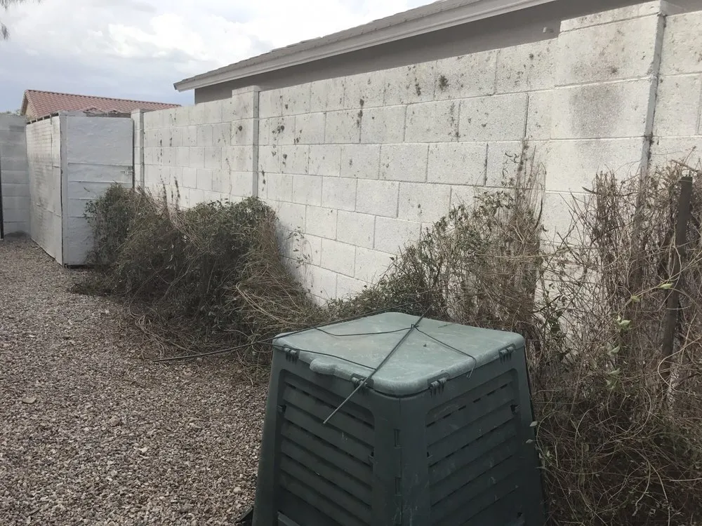 Local lawn care service for outdoor upgrades in San Tan Valley, AZ by The Yard Experts