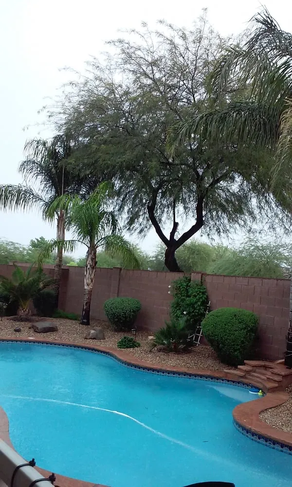 Professional lawn mowing service for year-round maintenance across San Tan Valley, AZ - The Yard Experts