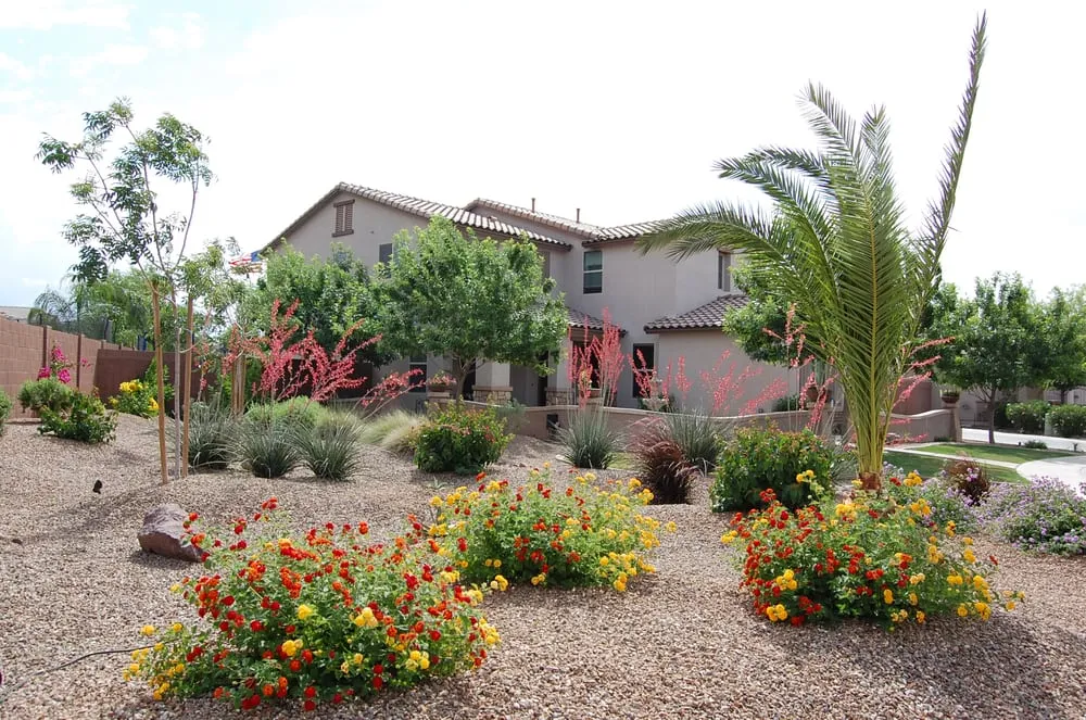 Trusted landscaping services for outdoor upgrades in San Tan Valley, AZ by The Yard Experts