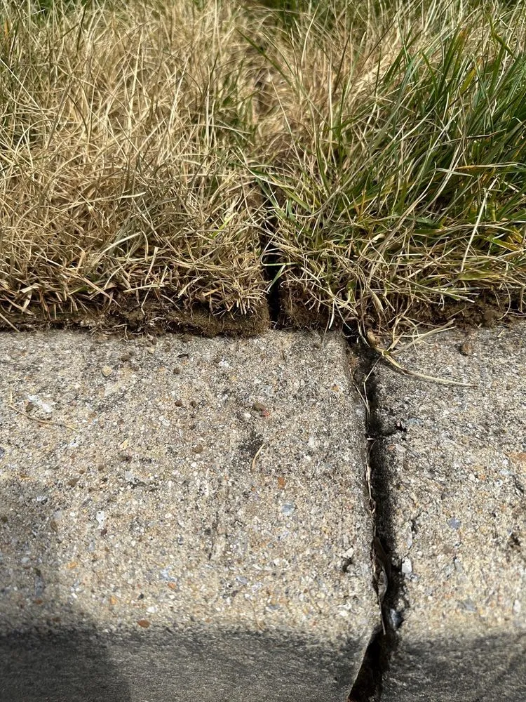 Professional garden landscaping in Knoxville, TN - The Yard Force