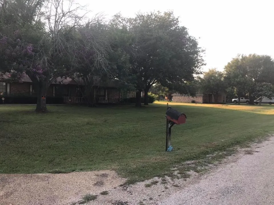 Local yard cleanup service for year-round maintenance in Kaufman, TX by The Yard Goat