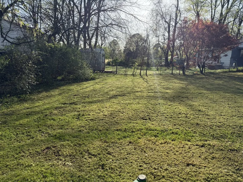 Reliable yard cleanup service in Winchester, TN by The Yard Guru