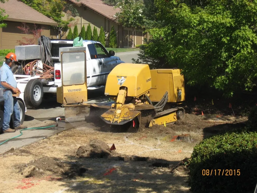 Trusted yard maintenance experts serving Auburn, CA - The Yard Guy