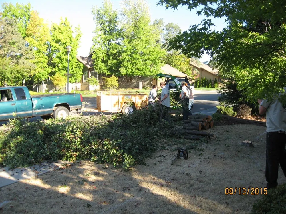 Affordable lawn mowing service in Auburn, CA by The Yard Guy