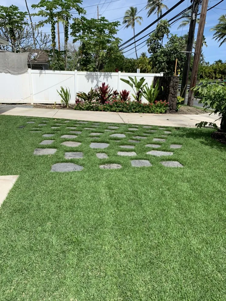Expert yard maintenance in Kailua, HI - The Yard Guy
