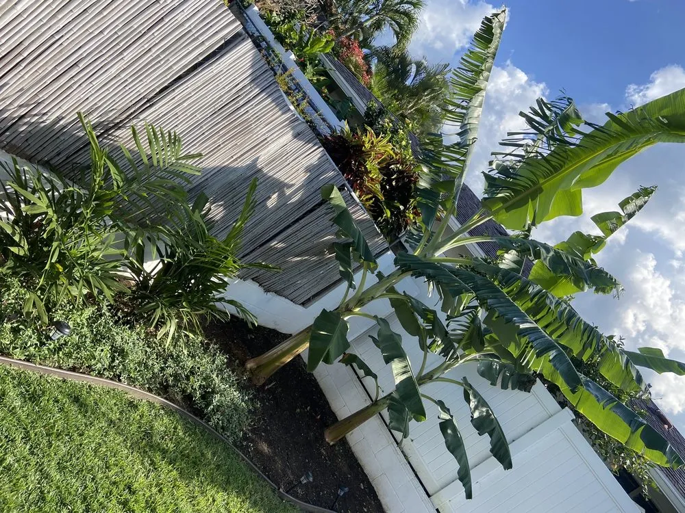 Trusted yard maintenance in Kailua, HI - The Yard Guy