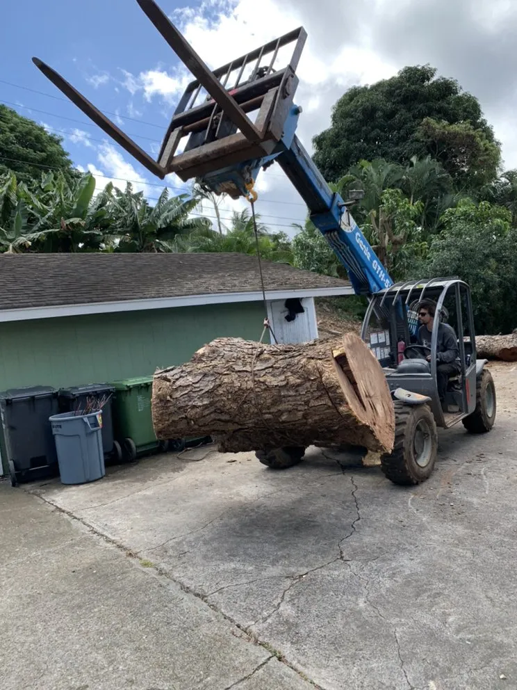 Local residential landscaping in Kailua, HI - The Yard Guy