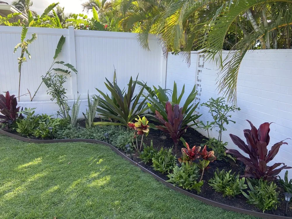 Top-rated yard cleanup service in Kailua, HI - The Yard Guy