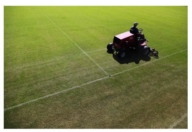 Affordable landscape installation for year-round maintenance in Berlin, MD by The Yard Guy of Ocean Pines