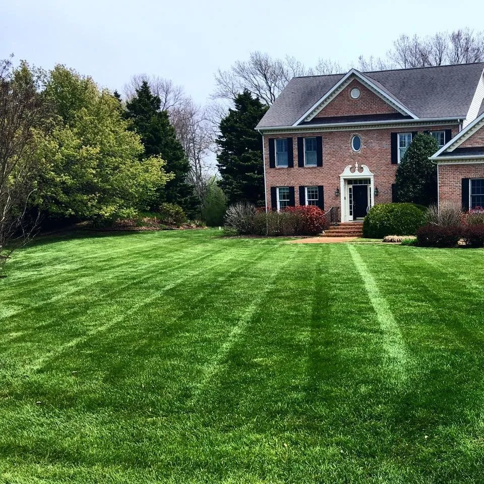 Reliable yard cleanup service for year-round maintenance across Berlin, MD - The Yard Guy of Ocean Pines