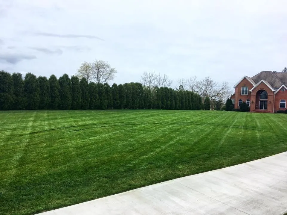 Local lawn care service for year-round maintenance across Berlin, MD - The Yard Guy of Ocean Pines