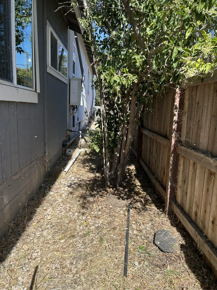 Trusted yard cleanup service in San Luis Obispo, CA by The Yard Guy