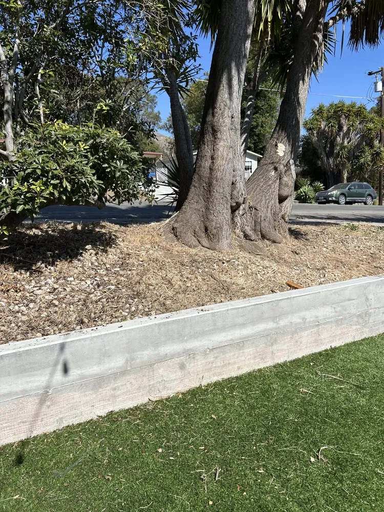 Professional landscape installation in San Luis Obispo, CA - The Yard Guy