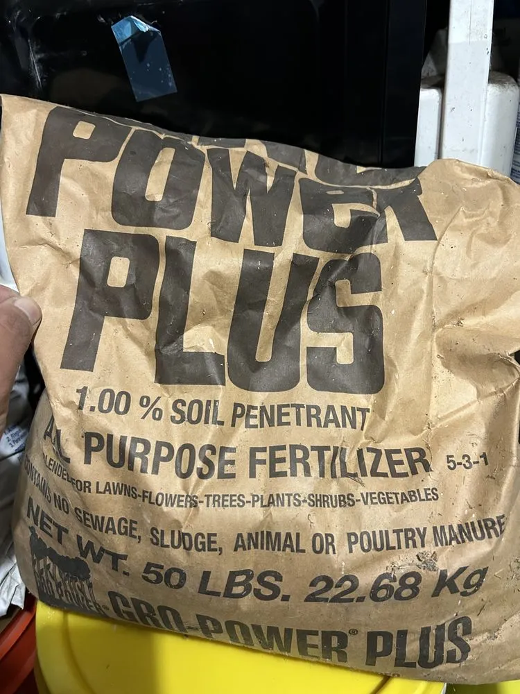 Local yard cleanup service for outdoor upgrades in San Luis Obispo, CA by The Yard Guy