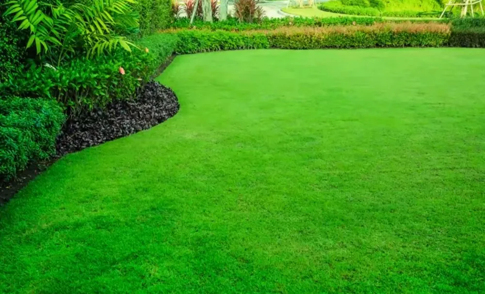 Reliable outdoor landscaping for residential properties in West Columbia, SC by The Yard Guy