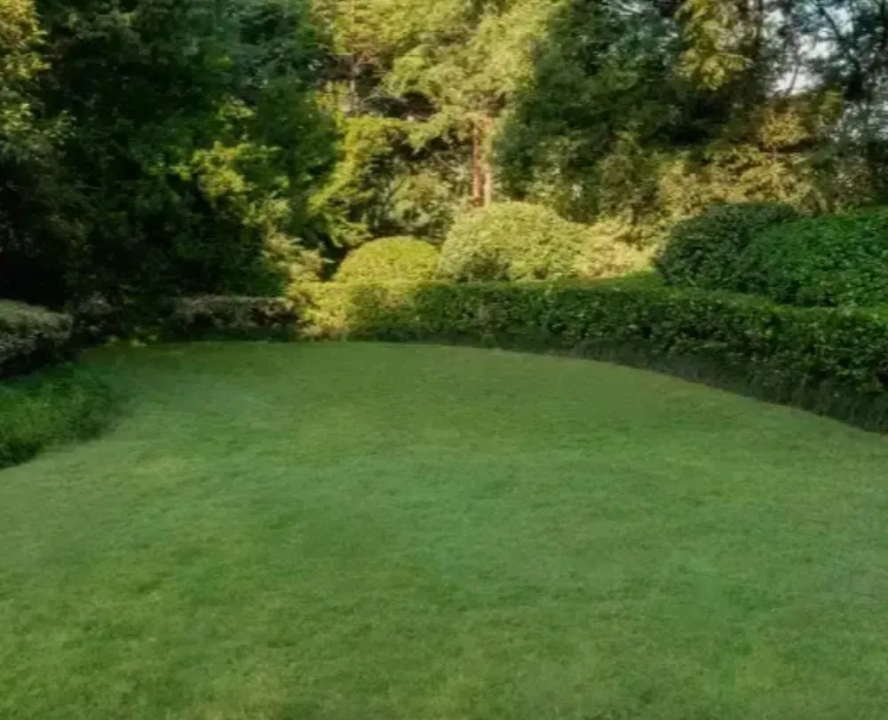 Top-rated yard maintenance for year-round maintenance across West Columbia, SC - The Yard Guy