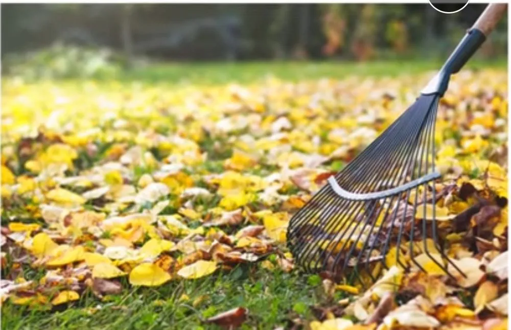 Top-rated yard maintenance for homes across West Columbia, SC - The Yard Guy