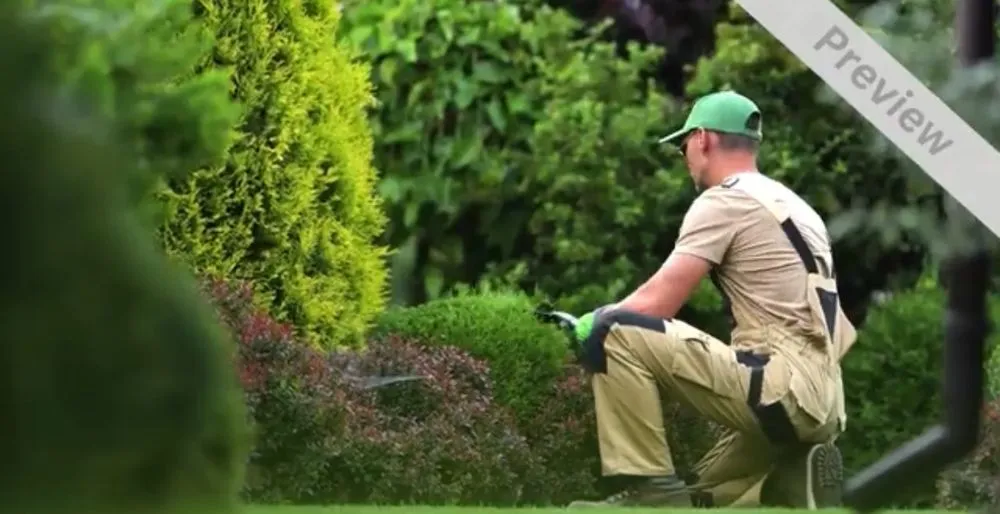 Expert landscaping services in West Columbia, SC - The Yard Guy