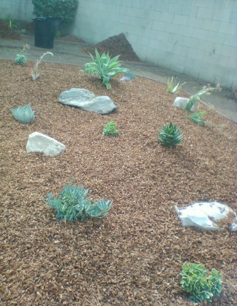 Reliable landscape design near you in Hawthorne, CA by THE YARD GUYS