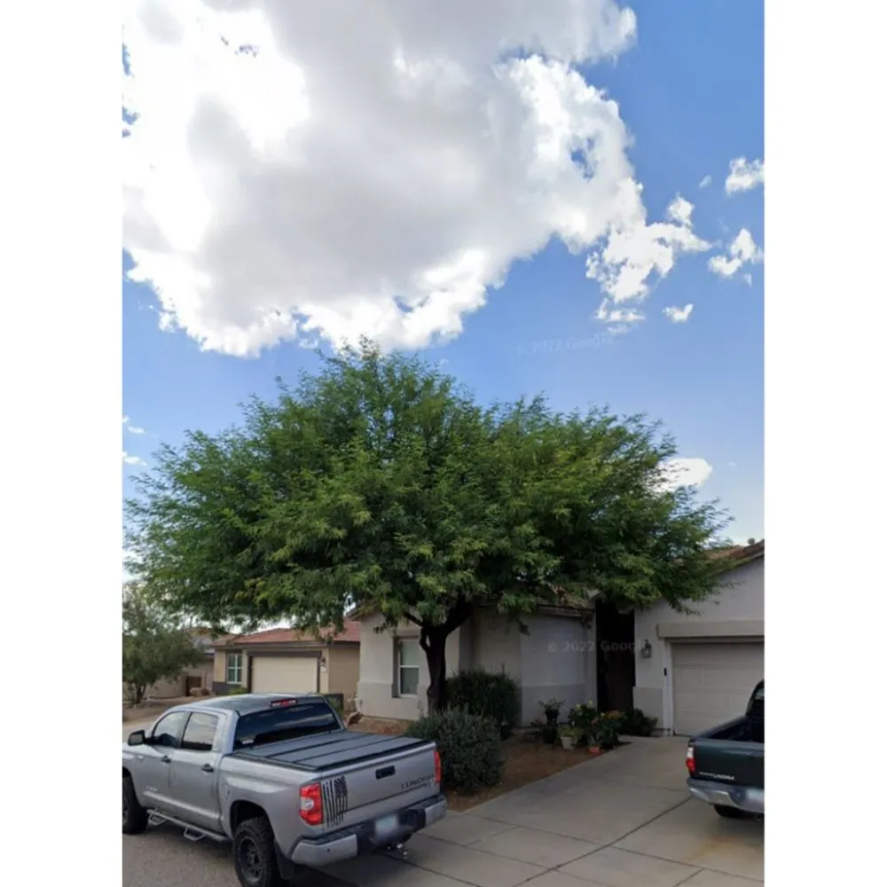 Custom yard maintenance experts serving Tucson, AZ - The Yard Guys Landscaping