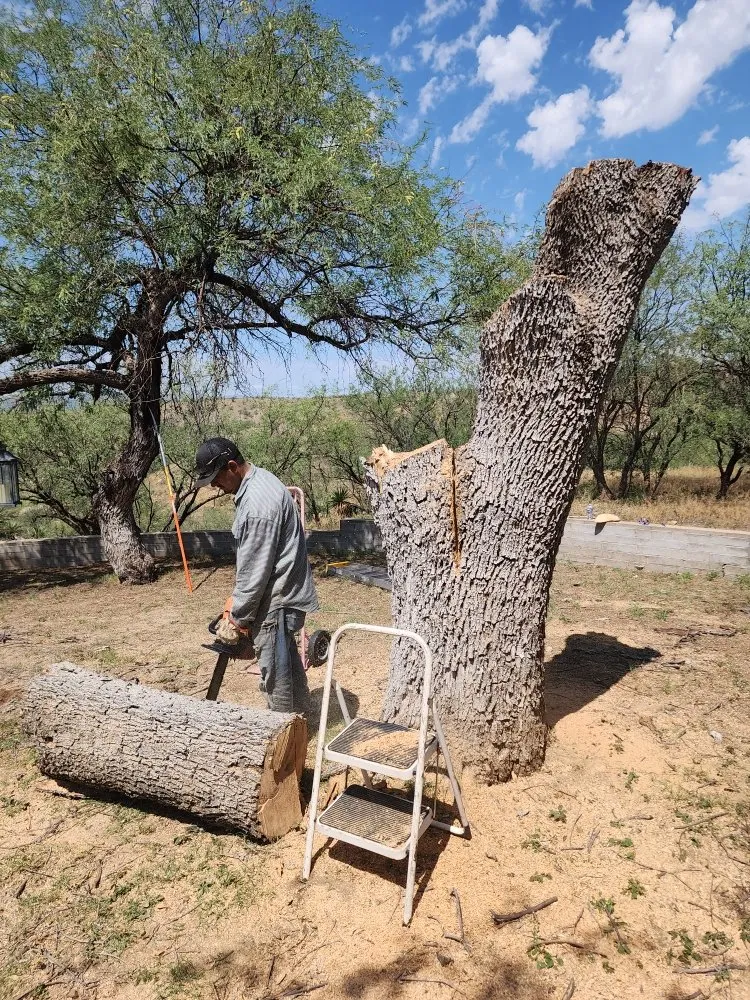 Professional residential landscaping for outdoor upgrades across Tucson, AZ - The Yard Guys Landscaping