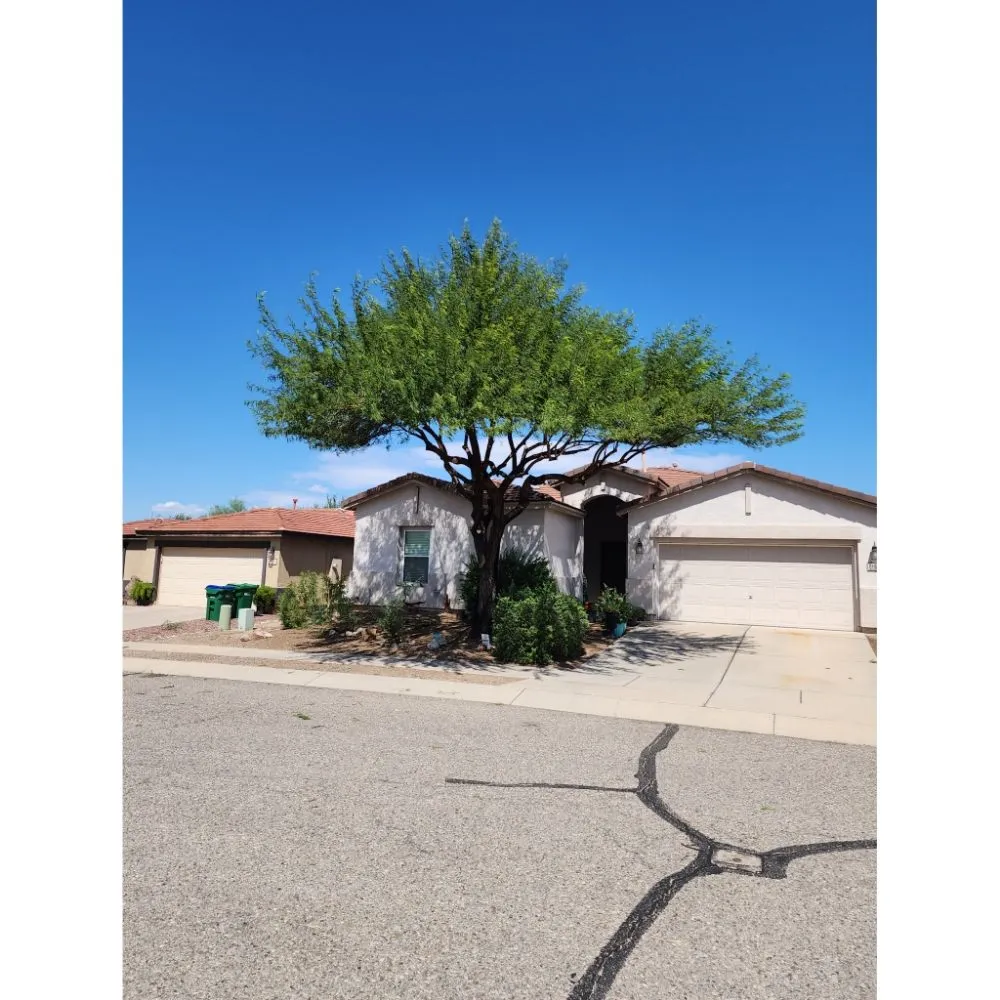 Top-rated yard maintenance in Tucson, AZ by The Yard Guys Landscaping