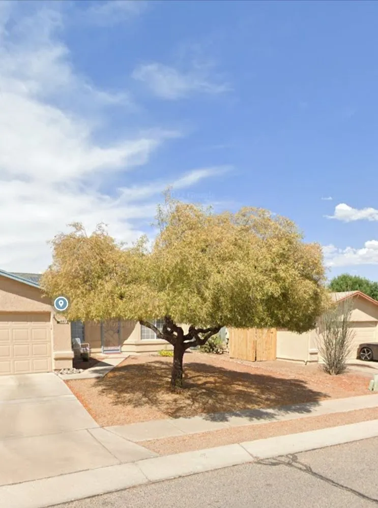 Affordable landscaping services experts serving Tucson, AZ - The Yard Guys Landscaping