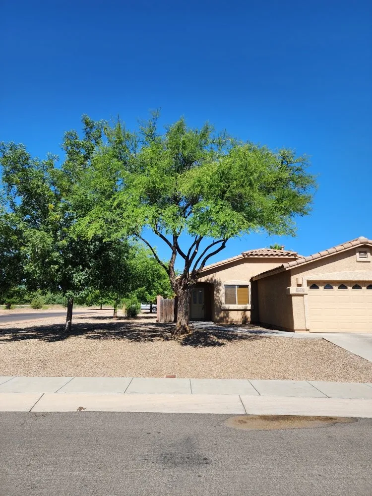 Custom landscaping services for outdoor upgrades across Tucson, AZ - The Yard Guys Landscaping