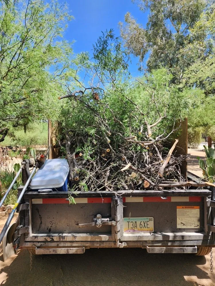 Expert lawn mowing service in Tucson, AZ by The Yard Guys Landscaping