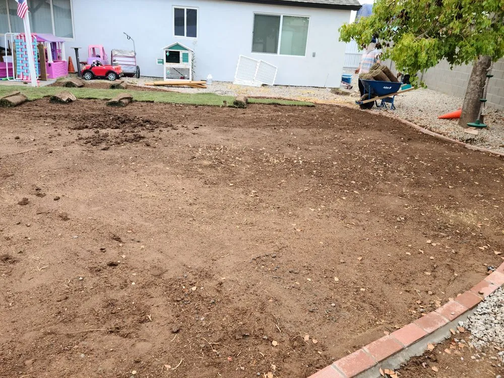 Reliable residential landscaping experts serving Mesa, AZ - The Yard Guys