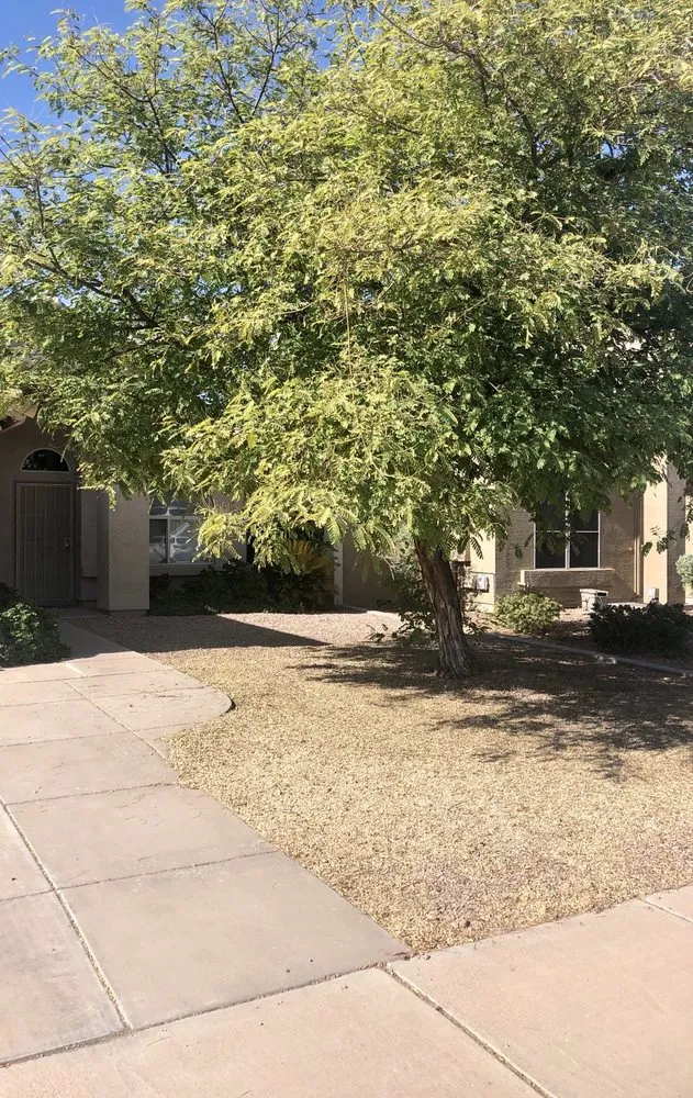 Professional garden landscaping with custom design in Mesa, AZ by The Yard Guys