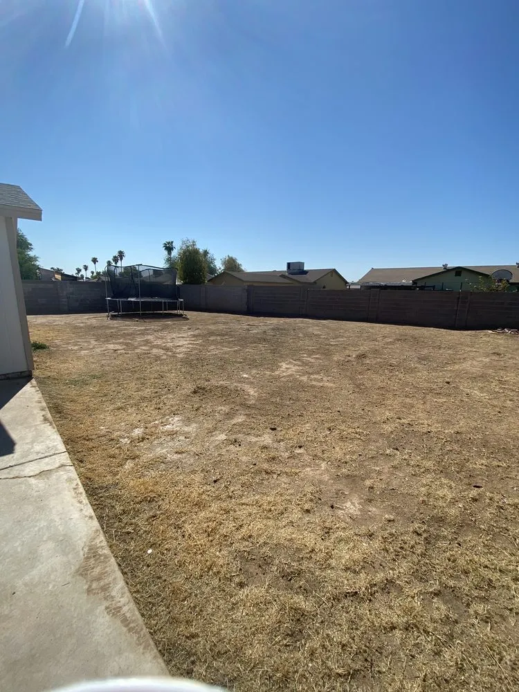 Top-rated residential landscaping for year-round maintenance across Mesa, AZ - The Yard Guys