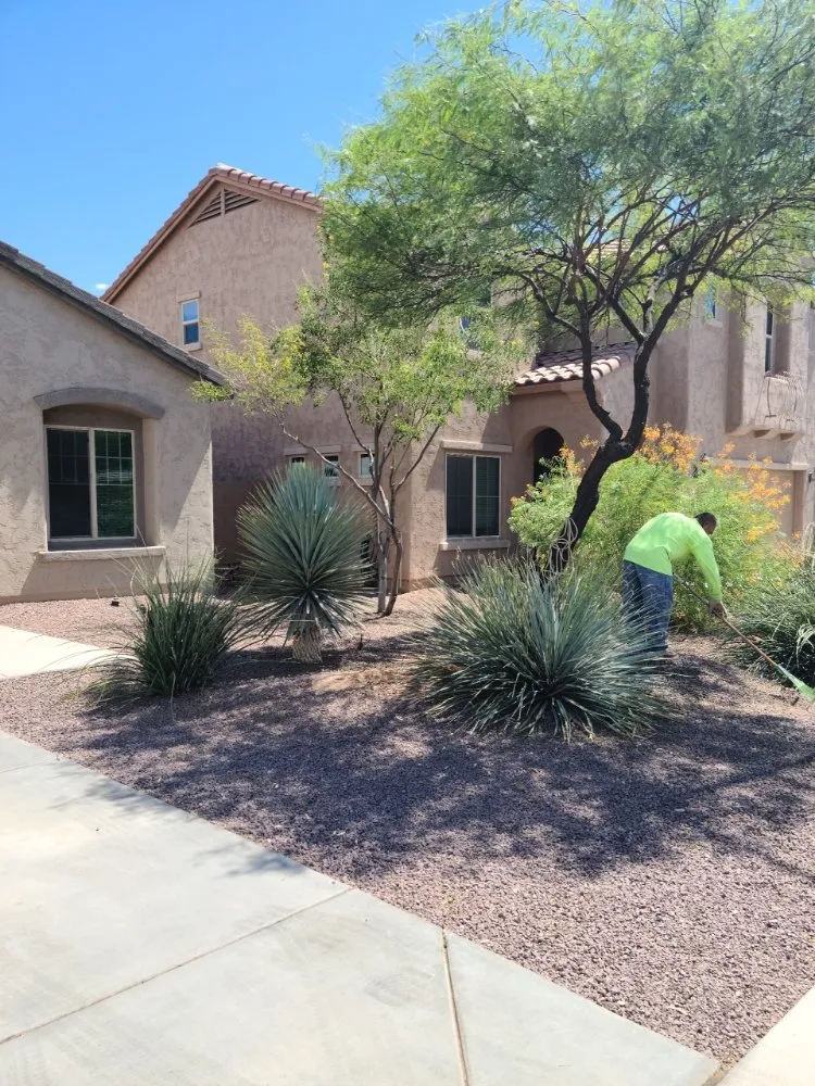 Custom lawn care service in Mesa, AZ by The Yard Guys