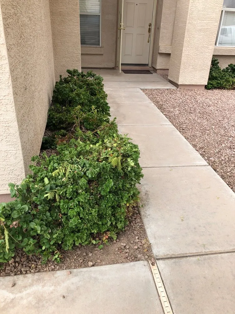 Reliable landscape design for outdoor upgrades across Mesa, AZ - The Yard Guys