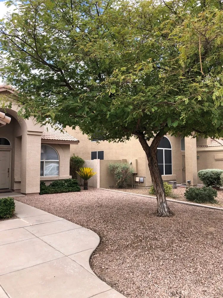 Reliable yard cleanup service experts serving Mesa, AZ - The Yard Guys