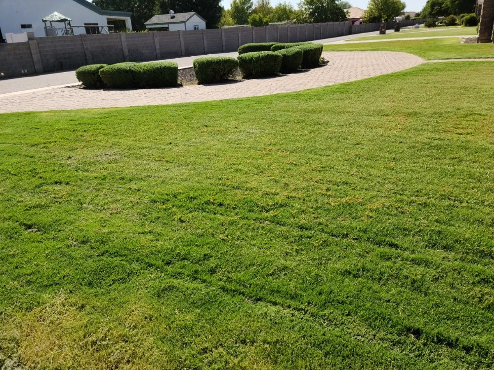 Affordable outdoor landscaping for outdoor upgrades in Mesa, AZ by The Yard Guys