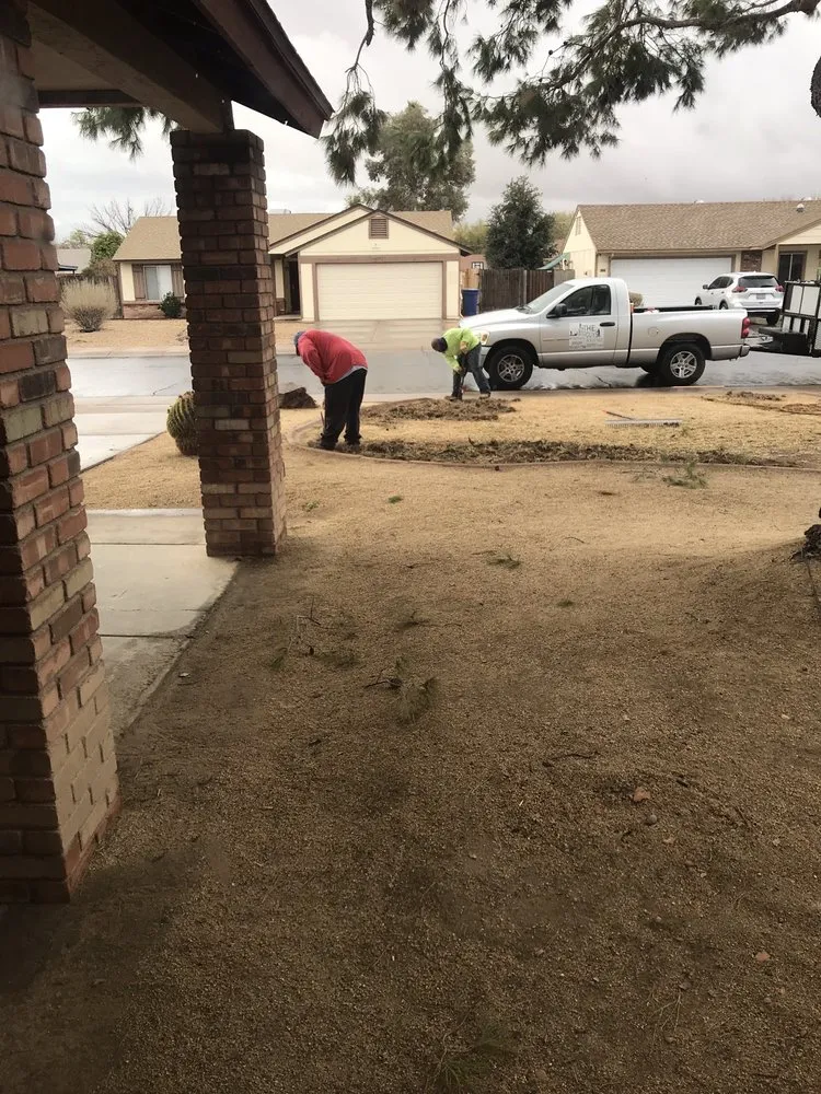 Affordable landscape design in Mesa, AZ - The Yard Guys