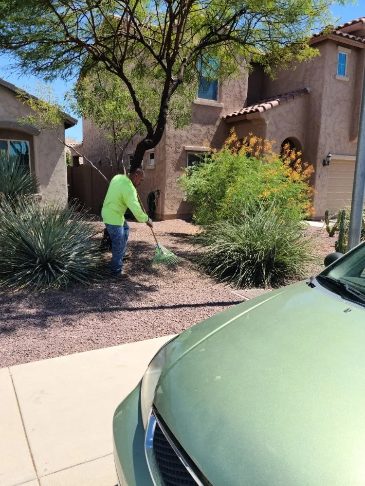 Top-rated residential landscaping for beautiful yards across Mesa, AZ - The Yard Guys