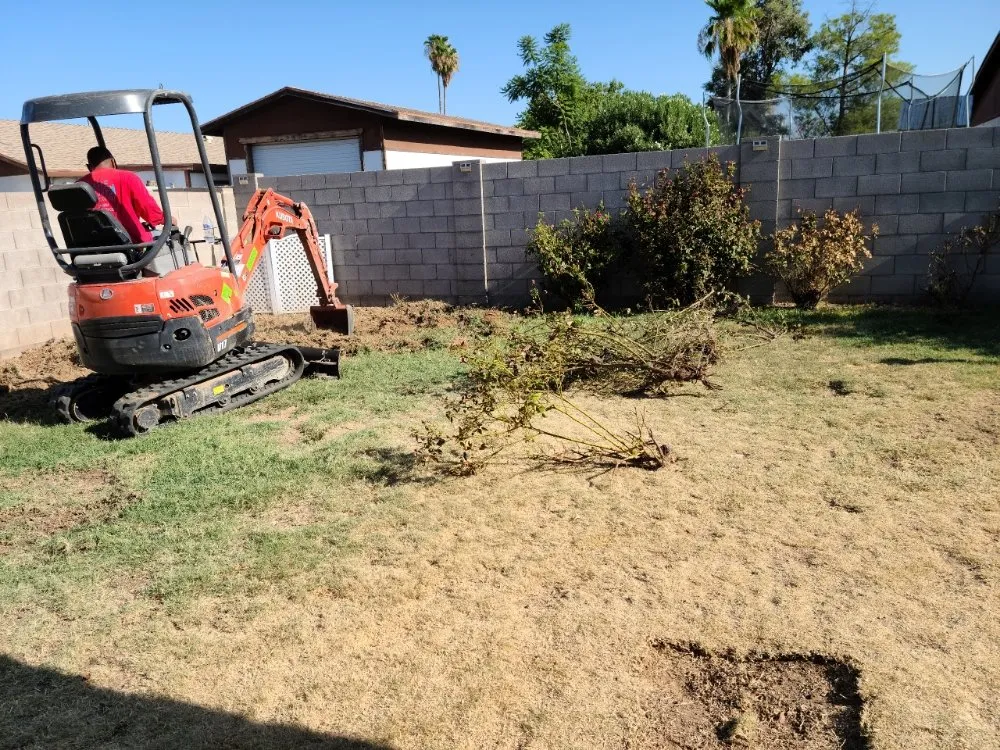 Reliable landscaping services in Mesa, AZ by The Yard Guys