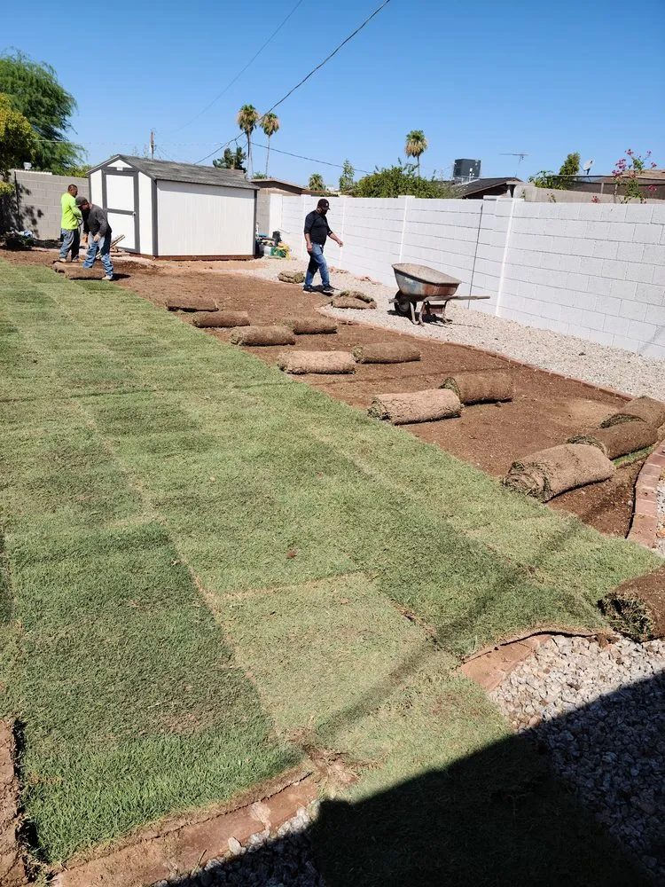 Professional landscaping services in Mesa, AZ by The Yard Guys