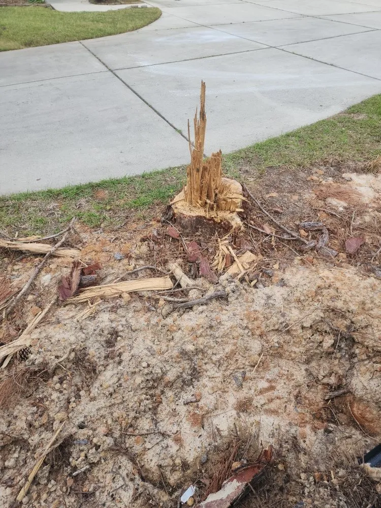 Trusted landscaping services for year-round maintenance across Hampstead, NC - The Yard Guys Of Hampstead