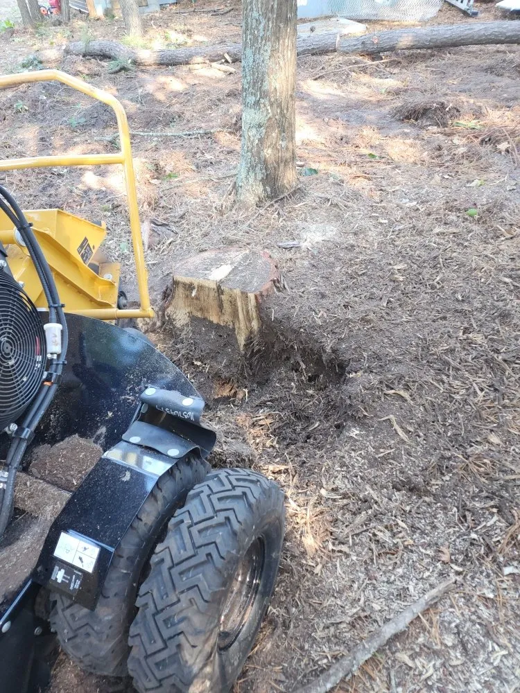 Top-rated outdoor landscaping in Hampstead, NC - The Yard Guys Of Hampstead