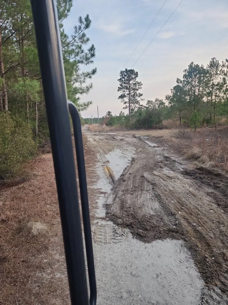 Expert lawn care service for year-round maintenance across Hampstead, NC - The Yard Guys Of Hampstead