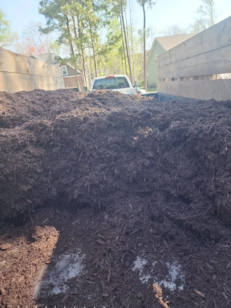 Top-rated yard maintenance in Hampstead, NC - The Yard Guys Of Hampstead