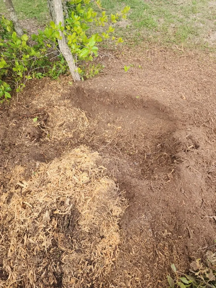 Professional landscape installation in Hampstead, NC - The Yard Guys Of Hampstead