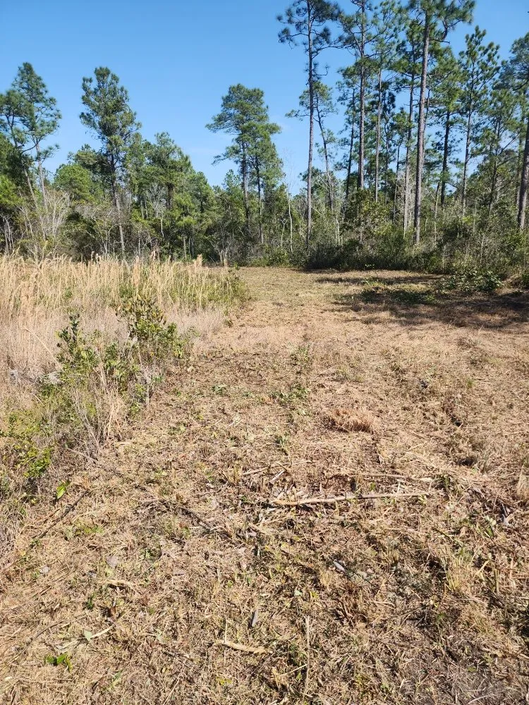 Local yard cleanup service in Hampstead, NC by The Yard Guys Of Hampstead