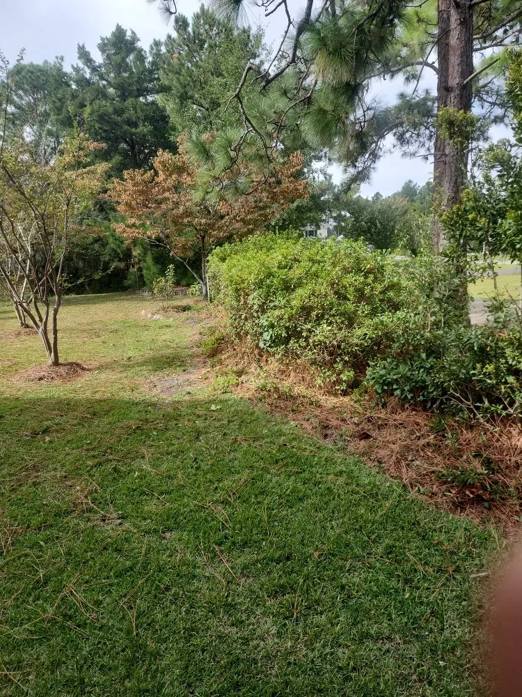 Expert outdoor landscaping in Hampstead, NC - The Yard Guys Of Hampstead